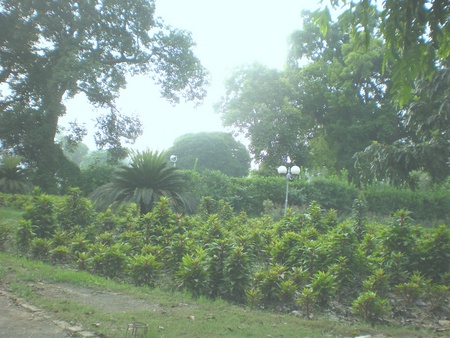 park - flowers, fresh air, nature, park