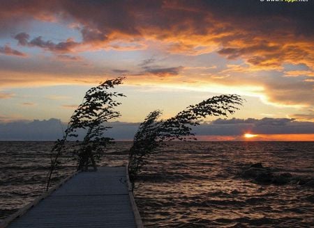 Midsummer Eve - breeze, water, colour, ocean, jetty, clouds, pier, trees, sunset