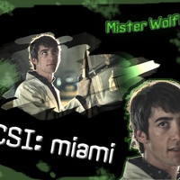 Mister Wolfe
