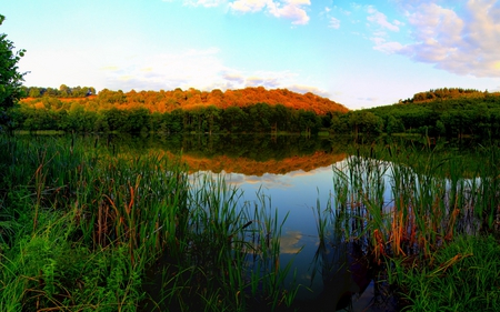 Beautiful Lake - lake, sky, landscape, trees, peaceful, colorful, water, nature, evening, reflection, clouds, beautiful, green, colors, grass