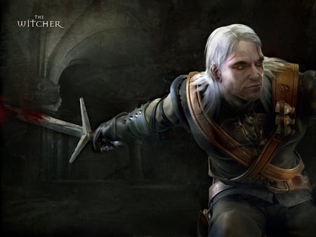 The Witcher - fighting, the witcher, game, adventure, hd