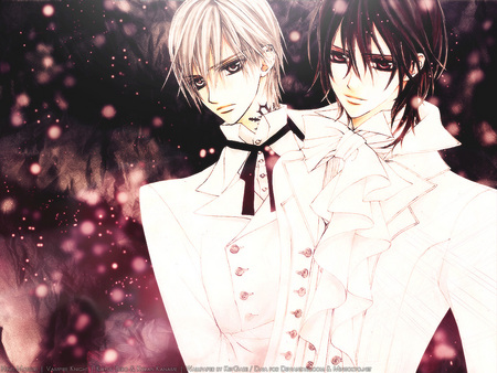 Zero and Kaname - vampire, kaname, knight, zero