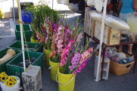 Farmers market flowers - flowers, market, photography, farmers