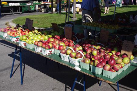 Apples - apples, market, photography, farmers