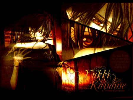 Yuuki and Kaname - vampire, yuuki, kaname, knight