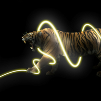 Light tiger