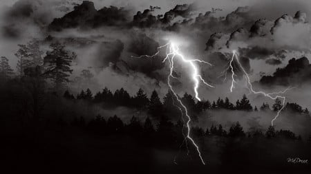 Storm Coming - sky, forest, storm, lightning, clouds, dark, widescreen, trees