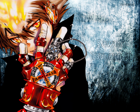 sawada tsunayoshi - sunayoshi, katekyou, sawada, hitman, reborn