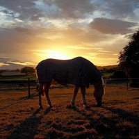 Sunset Over Kentucky