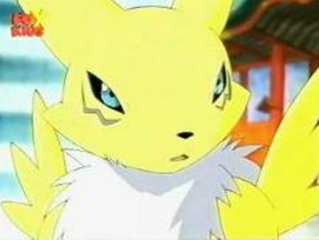 Renamon looks at you - renamon, e, r, n