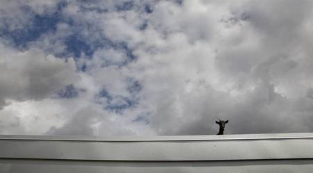 look...it's a bird, it's a plane...nope, it's a goat! - clouds, goat, animals, sky