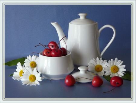 still life - blue, daisy, photo, flowers, daisies, tea pot, bowl, fruit, nice, cherries, beautiful, photography, cool, still life, jug, drink, harmony, white