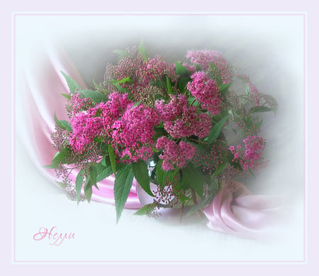 still life - vase, water, beautiful, photography, flower bouquet, photo, cool, flower, pink, still life, gentle, nice harmony