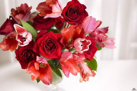 Bunch of roses - nature, blossoms, roses, tulips, leaves, bunch, flowers