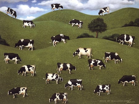 Cows - cow, paint, cool, moo