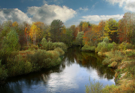 River - forests, nature, rivers, sky