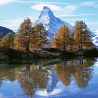 Reflecting tree and mountain