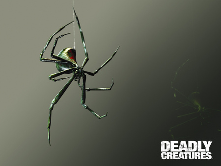 Deadly Creatures - creature, spider, game, black widow