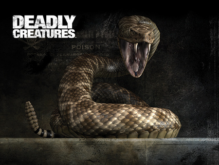 Deadly Creatures - rattle snake, game, deadly, creature