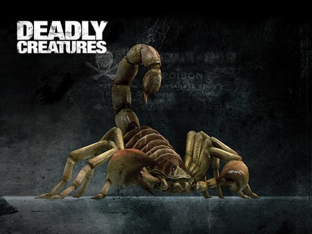 Deadly Creatures - scorpion, creatures, game, deadly