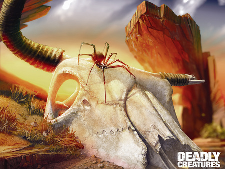 Deadly Creatures - skull, spider, desert, game