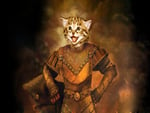 warrior cat