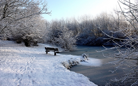 SIT AND FREEZE - river, ice, trees, frozen, winter, snow, bench