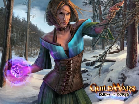 Guild Wars - guild wars, fantasy, game, female