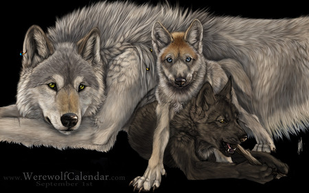 LOKI THIS ONES FOR YOU MY FRIEND - wolves, gorgeous, photo, beautiful