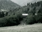 Abandoned wigwam