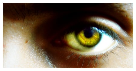 Eye - eye, colors, yellow, beautiful