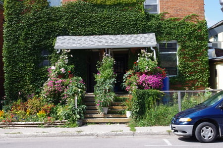 Nice entrance - flowers, colourful, house, entrance