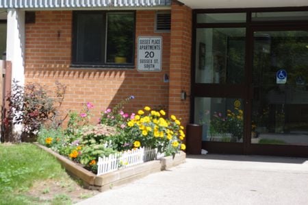 Front entrance flower bed - entrance, bed, flowers, colourful