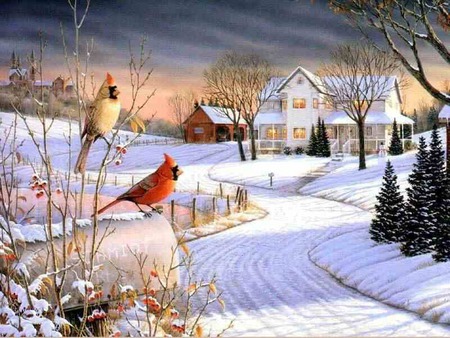 A Country Afternoon - birds, snow, grasses, old, barn, lane, sky, house, winter, fields, heritage, cardinals, pines, lights, dusk, country, charmimg