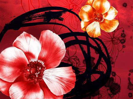 Flowers - orange, flowers, black, red