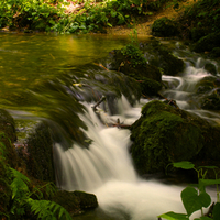 Gentle Stream