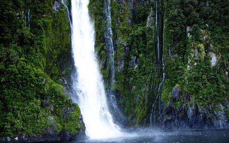 Millford Sound Falls - vegetation, lush, covered, nature, waterfall, beautiful, green, cliffs