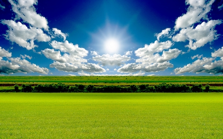 GOOD MORNING SUNSHINE - sky, shines, clouds, blue, sun, green, field, grass