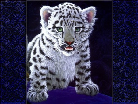 WHITE CUB - white, cub, design, blue, tiger, cat