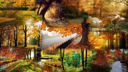 An Autumn Collage - tres, season, autumn, collage, trees, fall, forest, river, firefox persona