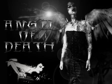 Angel of Death - death, fallen, angel