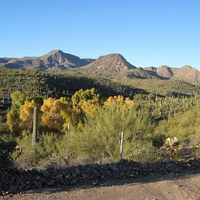 Desert Landscape