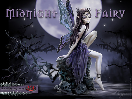 Midnight Fairy - fairy, midnight