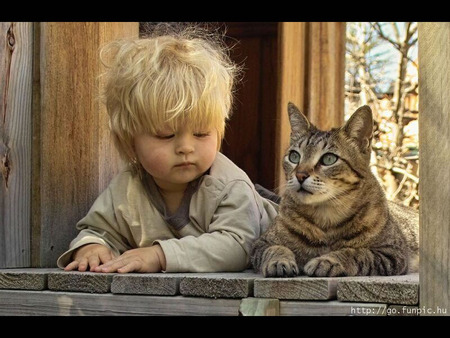 kid and a cat - cat, kid