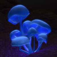 Magic Mushroom