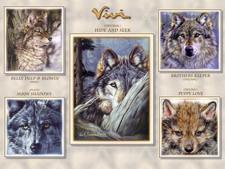 variety of wolves - dogs, animals, wildlife, wolves