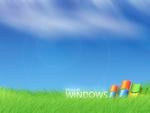 Windows XP