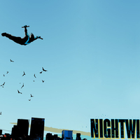 NIGHTWING66