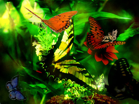 Fairy rides a butterfly - flowers, fairies, fantasy, butterfly, fairy, dream