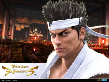 Virtua Fighter - hd, fighting, action, video game, virtua fighter 5